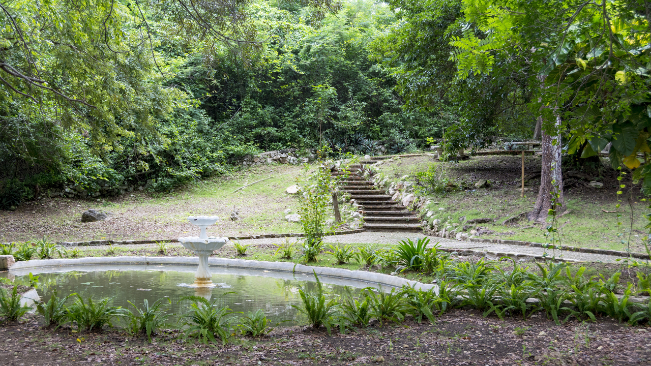 20180104 008 4459  Rose Hall, Montego Bay, Saint James, Jamaica